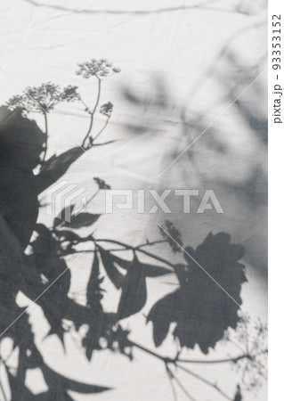Dark silhouettes of flowers, leaves and grasses over linen table cloth background in sunlight. Natural pattern, shadows overlay. Decorative web banner, texture. Vertical top view. Black and white. 93353152