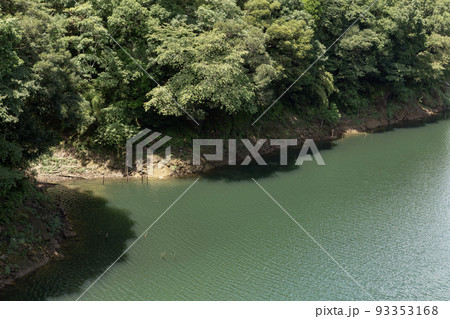 ダム湖の水辺 ダム湖の水辺 93353168