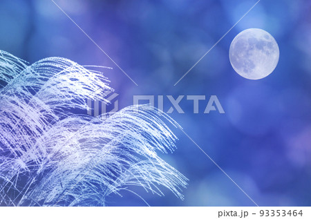 白く輝くススキのシルエットと満月、紺色の秋の夕暮れの風景 白く輝くススキのシルエットと満月、紺色の秋の夕暮れの風景 93353464