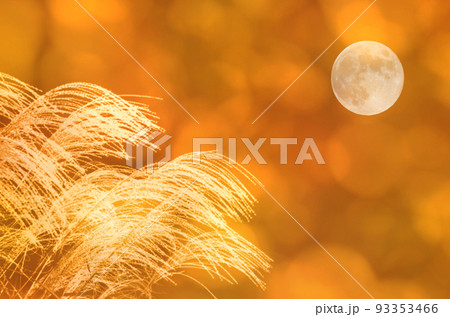 白く光るススキのシルエットと満月、橙色の秋の夕暮れの風景 93353466