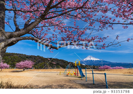 桜咲く公園と富士山 桜咲く公園と富士山 93353798