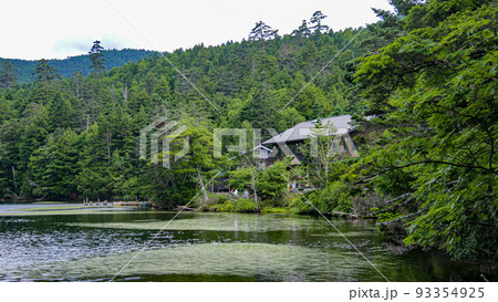 夏の北八ヶ岳　白駒池　静寂に包まれる白駒荘 93354925