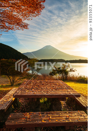 落葉のテーブルと富士山 落葉のテーブルと富士山 93355071