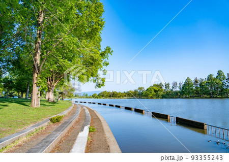 滋賀県長浜市　初夏の奥びわスポーツの森の池 93355243