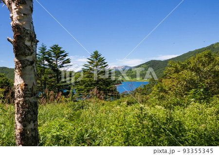 野反湖から見る草津白根山 野反湖から見る草津白根山 93355345