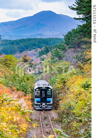 青森県 五能線 (深浦－広戸） ～紅葉の草原を走る列車～ 93355526