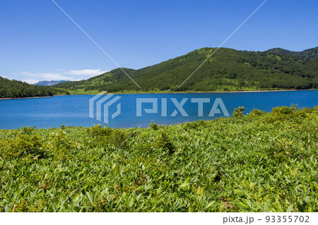 夏の野反湖　湖畔の遊歩道から見る風景 93355702
