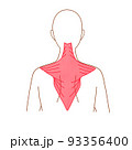 筋肉の簡単な図　僧帽筋 93356400