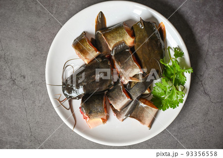 fresh raw catfish menu freshwater fish, catfish for cooking food, catfish fillet on white plate, fish chopped with ingredients coriander on dark background fresh raw catfish menu freshwater fish, catfish for cooking food, catfish fillet on white plate, fish chopped with ingredients coriander on dark background 93356558