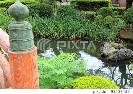 夏の美濃三弘法散策・26(岐阜県本巣郡北方町:円鏡寺) 夏の美濃三弘法散策・26(岐阜県本巣郡北方町:円鏡寺) 93357480