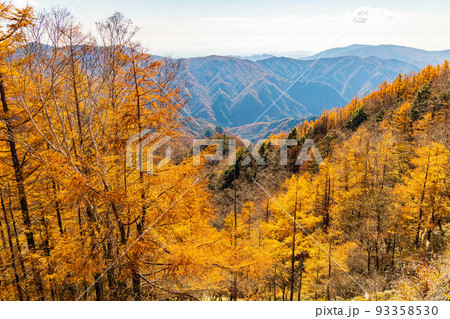 国内屈指の観光地 奥日光の秋 紅葉の半月山からの眺望 国内屈指の観光地 奥日光の秋 紅葉の半月山からの眺望 93358530