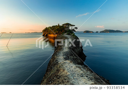 朝日を浴びる馬の背 93358534