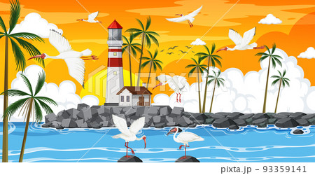 Outdoor scene with American white ibis group 93359141
