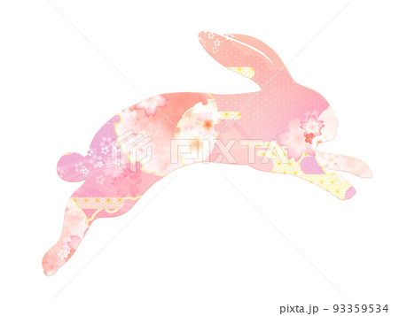 うさぎの素材 93359534