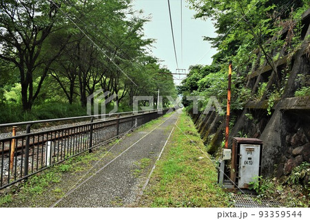 碓氷峠　遊歩道アプトの道 93359544
