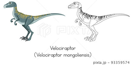 Dinosaur sketching of velociraptor 93359574