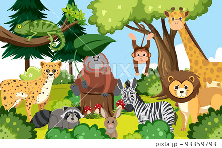 Cute wild animals in the forest Cute wild animals in the forest 93359793