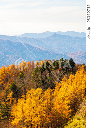 国内屈指の観光地 奥日光の秋 紅葉の半月山からの眺望 国内屈指の観光地 奥日光の秋 紅葉の半月山からの眺望 93360756