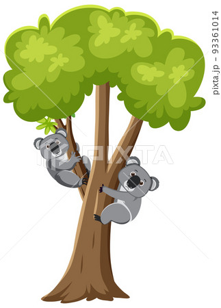 Koalas on tree cartoon character Koalas on tree cartoon character 93361014