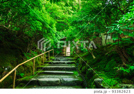 京都　瑠璃光院 93362623