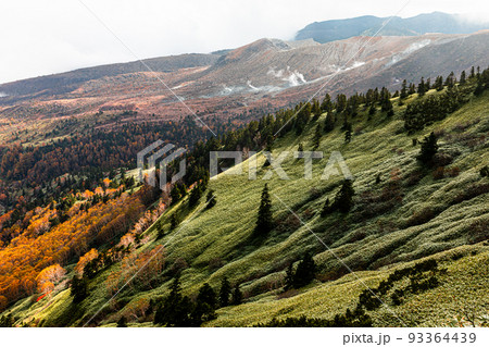 【群馬県・渋峠】国道最高地点から俯瞰、紅葉の高層湿原 ・芳ヶ平 10月 【群馬県・渋峠】国道最高地点から俯瞰、紅葉の高層湿原 ・芳ヶ平 10月 93364439