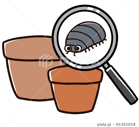 植木鉢から発見されるダンゴムシ 93365658