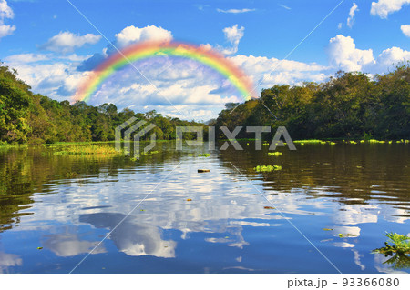 秘境・アマゾン川の絶景 秘境・アマゾン川の絶景 93366080