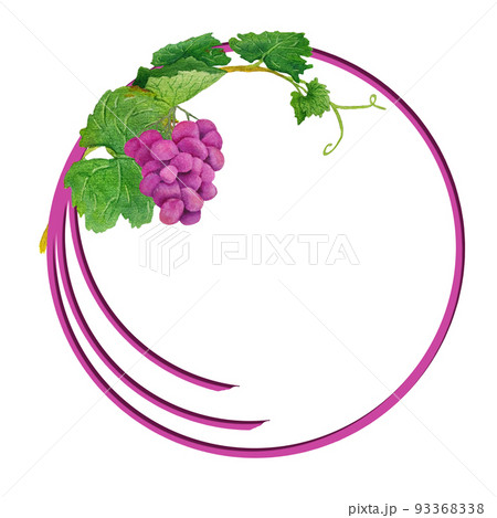 新作ウエア frame round with PIXTA - [93368338] grapesのイラスト素材 絵画