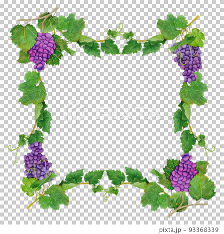 frame with grapevine 93368339