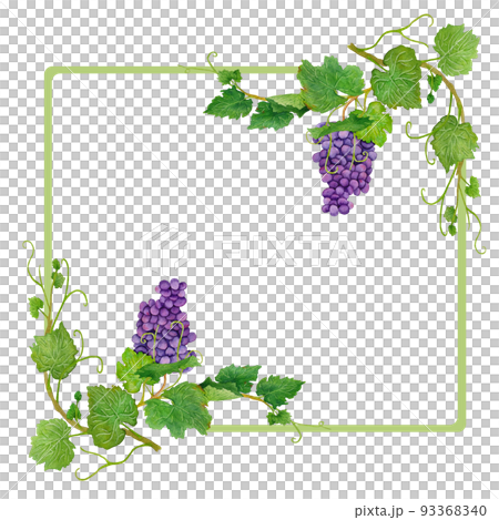 rectangular frame with grapes - Stock Illustration [93368340] - PIXTA