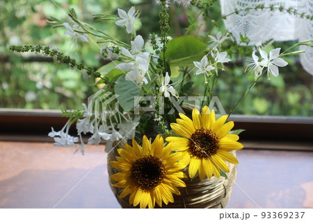 朝摘みの花を出窓に飾る 朝摘みの花を出窓に飾る 93369237