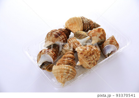 殻付き 活つぶ貝 生  93370541