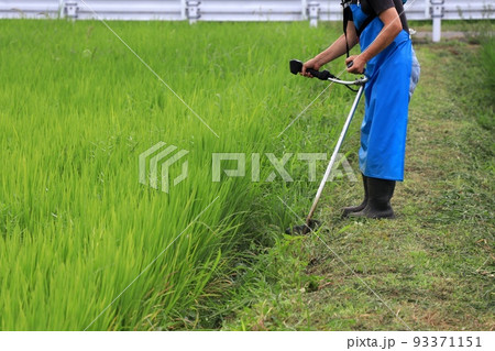 田んぼの土手で草刈機を持って除草作業するシニア男性 93371151