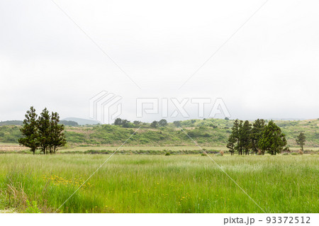 scenic landscape of Jeju island, Korea 93372512