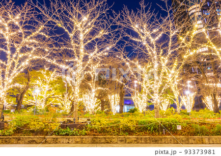 【東京の都市風景】東京ミッドタウン周辺の都市夜景（イルミネーション） 93373981