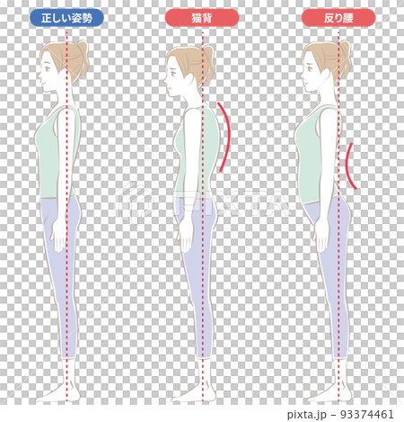 彎腰彎腰 93374461