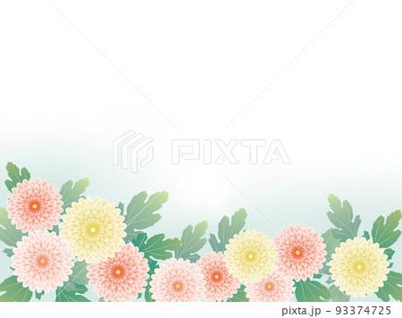 菊・マム・フレーム 93374725