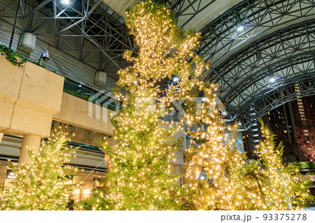 【東京の都市風景】クリスマスツリー(アークヒルズ周辺) 【東京の都市風景】クリスマスツリー(アークヒルズ周辺) 93375278