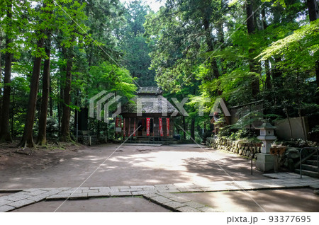 東京都青梅市 初夏 塩船観音寺 薬師堂  東京都青梅市 初夏 塩船観音寺 薬師堂  93377695