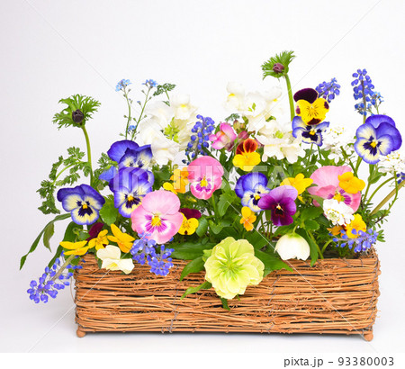 室内の籠に生けた春の花、春の花のフラワーアレンジメント 93380003