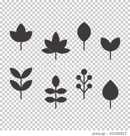 A set of simple maple and leaf silhouettes of various shapes black and white 93380857