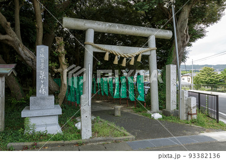 境内の泉ヶ森は茨城百景の一つである泉神社の鳥居 境内の泉ヶ森は茨城百景の一つである泉神社の鳥居 93382136