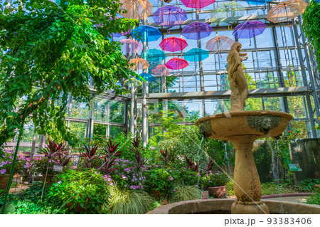 農業文化園・戸田川緑地、フラワーセンターのカラフルアンブレラ〈愛知県名古屋市〉 93383406