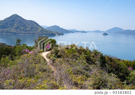 大久野島（毒ガス島・うさぎの島）の登山道と360度パノラマの瀬戸内海の風景　広島県竹原市忠海町 93383802