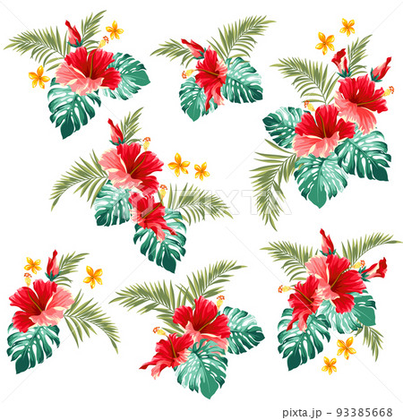 美しいトロピカルな植物のイラスト 美しいトロピカルな植物のイラスト 93385668