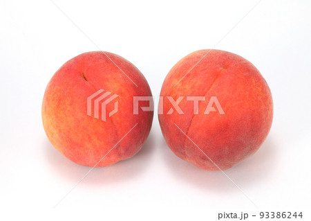 ワッサー ワッサー 93386244