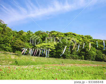 花の国 花の国 93386648