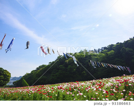 花の国 花の国 93386663