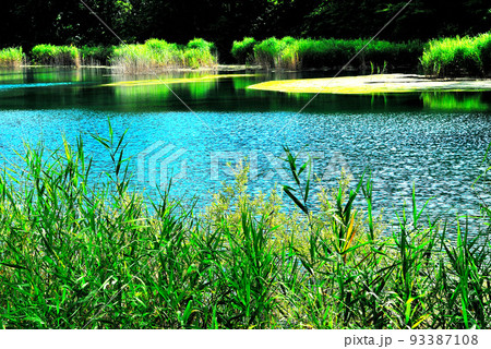 自然の中の風景 93387108