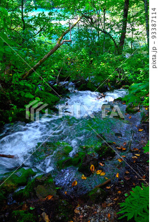 自然の中の風景 93387114